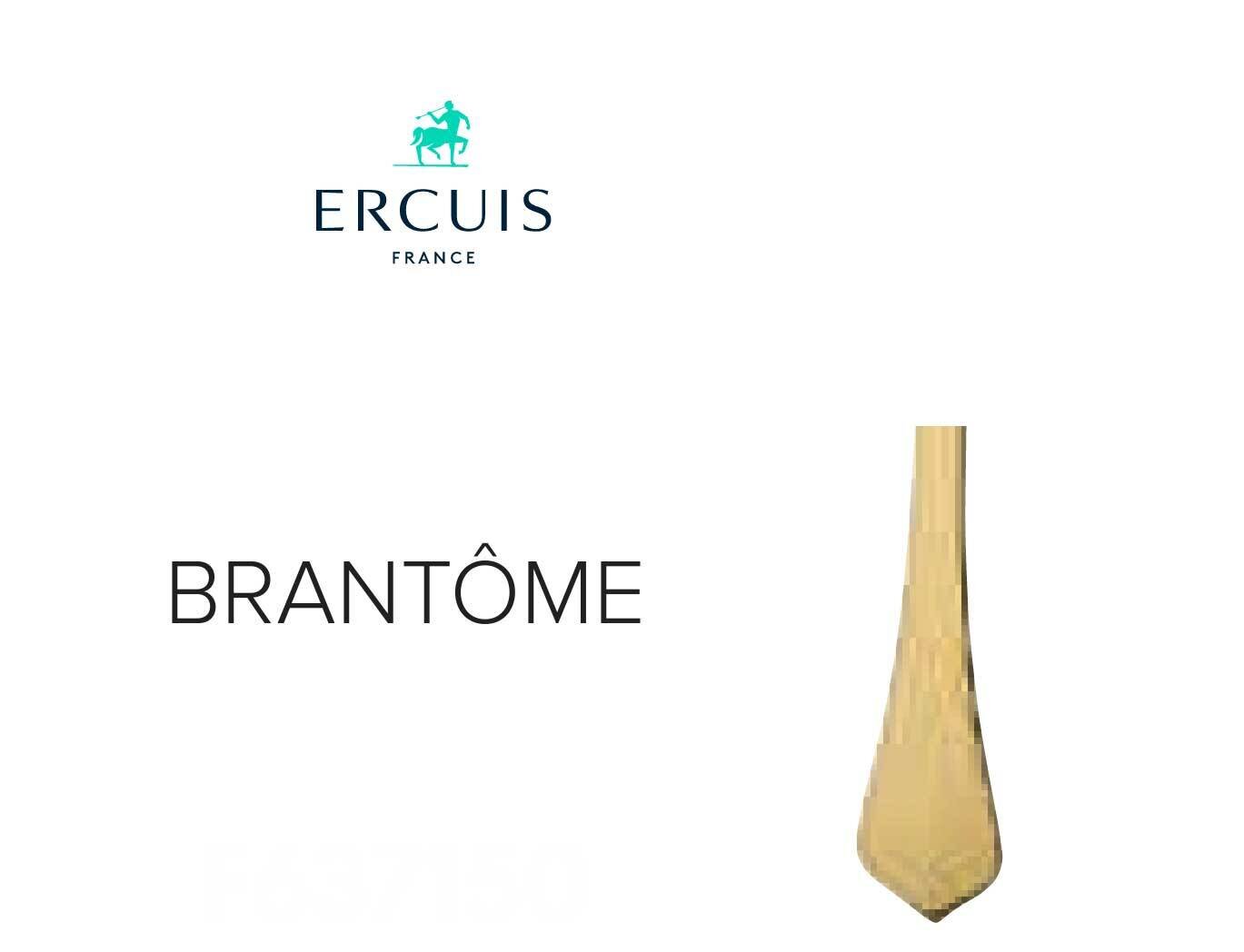 Ercuis Brantome Dessert Spoon Gold Plated F657150-04