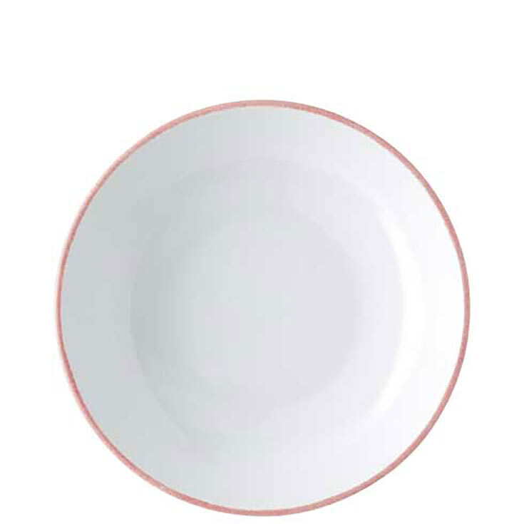 Rosenthal Profi Easy Powder Gourmet Plate Serving Bowl Shallow 10660-405401-31527, MPN: 10660-40540…