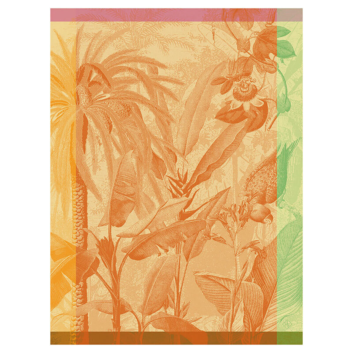 Le Jacquard Francais equateur Orange Tea Towel 24 x 31 Inch 28570 Set of 4, MPN: 28570, 36602692857…