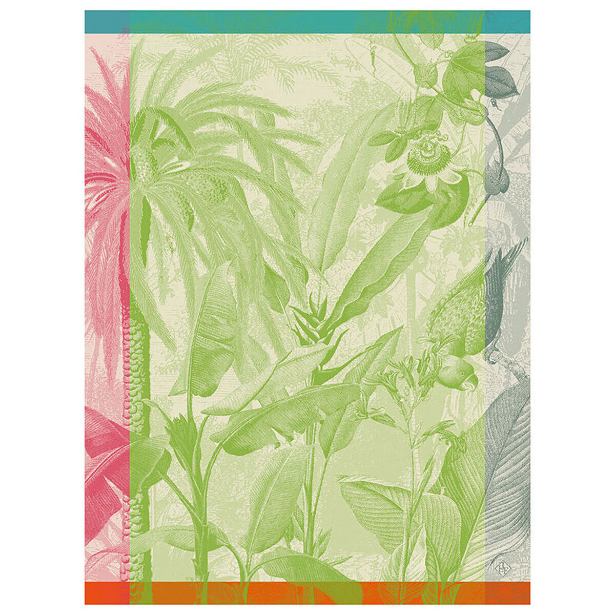 Le Jacquard Francais equateur Green Tea Towel 24 x 31 Inch 28568 Set of 4, MPN: 28568, 3660269285685
