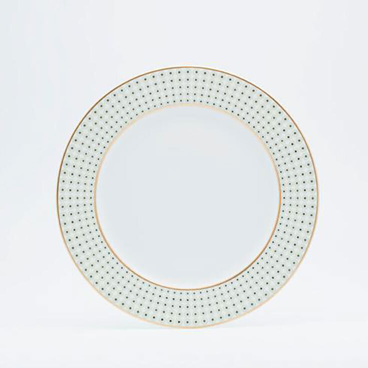 Royal Limoges Galaxie Dessert Plate 8.5 B220-REC20573, MPN: B220-REC20573, 3700409912108