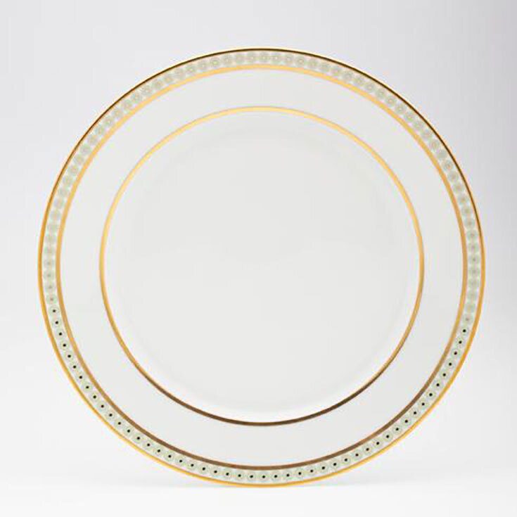 Royal Limoges Galaxie Dinner Plate 10.75 B275-REC20573