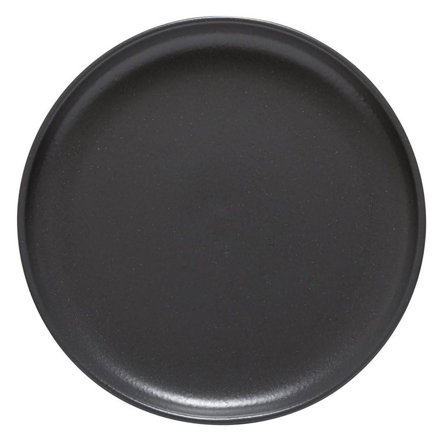 Casafina Pacifica Dinner Plate Seed Grey Set of 6 SOP271-SEE