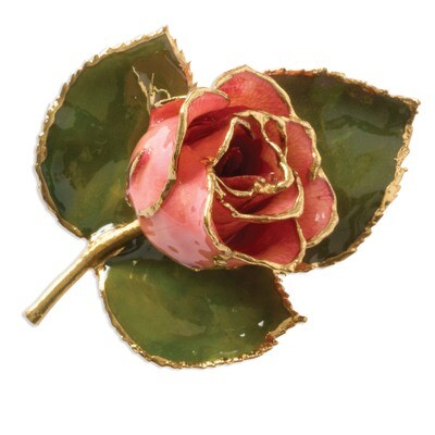 Pink Rose Brooch 24k Gold Trim BF1343, MPN: BF1343, 810391015893