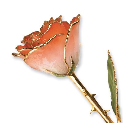 White &amp; Orange Rose Lacquer Dipped Gold Trimmed GM3729, MPN: GM3729, 810391013998