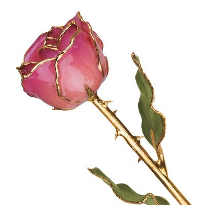Pink Picasso Rose Lacquer Dipped Gold Trimmed GM3730, MPN: GM3730, 810391014049