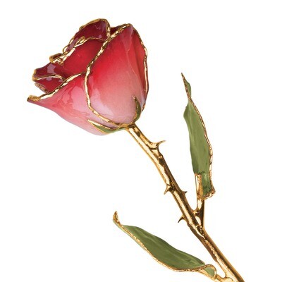 Pink &amp; Burgundy Rose Lacquer Dipped Gold Trimmed GM3732, MPN: GM3732, 810391014056