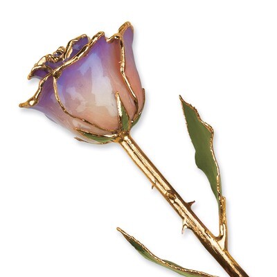 White &amp; Blue Opal Rose Lacquer Dipped Gold Trimmed GM3735, MPN: GM3735, 810391014025