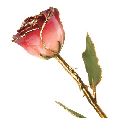 White &amp; Burgundy Rose Lacquer Dipped Gold Trimmed GM3733, MPN: GM3733, 810391013974