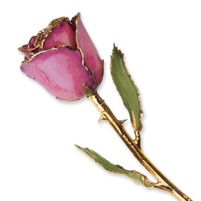 Fuchsia Rose Lacquer Dipped Gold Trimmed GM3737, MPN: GM3737, 810391014032