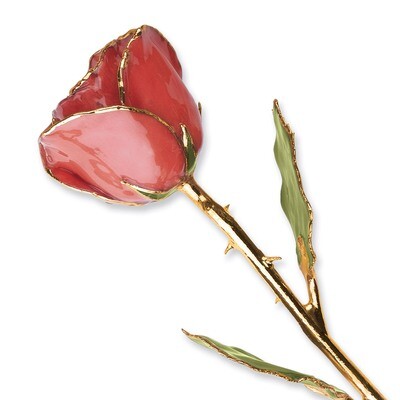 Sonia Pearl Rose Lacquer Dipped Gold Trimmed GM3739, MPN: GM3739, 810391013967