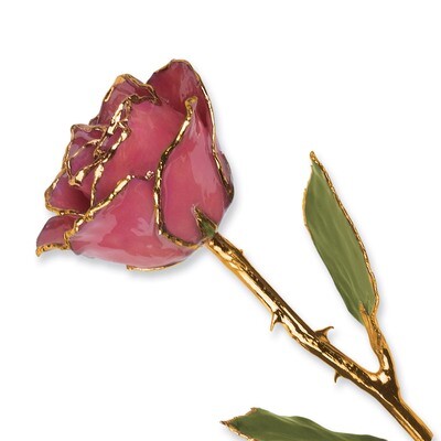 Dusty Pink Rose Lacquer Dipped Gold Trimmed GM3740, MPN: GM3740, 810391014063
