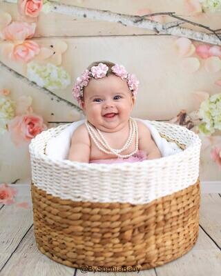 Baby Flower Crown Toddler Flower Crown Light Pink Flower Crown Girls Flower Crown Floral Crown Wreath Silk Floral Crown 1079