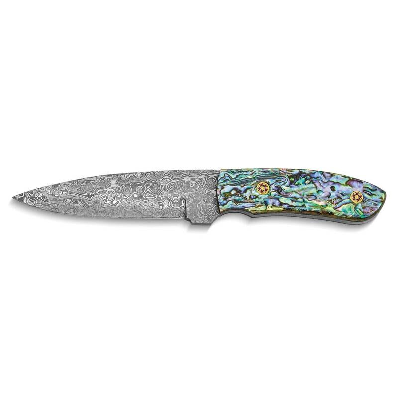 By Jere Fixed Blade Abalone Shell Handle Knife with Leather Sheath and Gift Box Damascus Steel 256 Layer KN3267