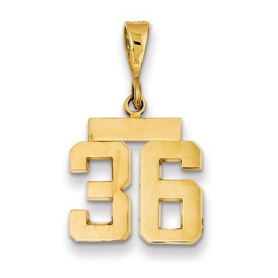 Number 36 Charm 14k Gold Small Polished SP36, MPN: SP36, 883957141091