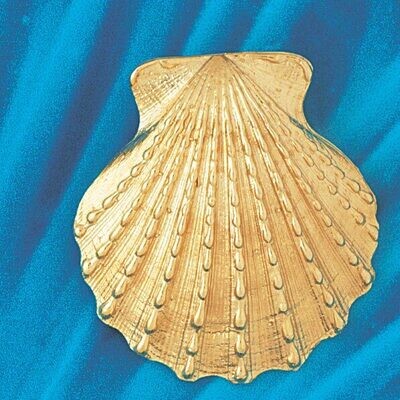 Dazzlers Jewelry Seashell Slide Pendant Necklace Charm Bracelet in Yellow, White or Rose Gold 72, M…