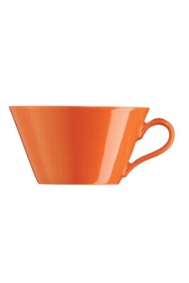 Arzberg Tric Fresh Breakfast Cup 11 Oz, MPN: 49700-670203-14852, UPC: 790955985506