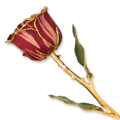 Abracadabra Rose Lacquer Dipped Gold Trimmed GP9353, MPN: GP9353, 810391013059