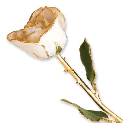 White Satin Rose Lacquer Dipped Gold Trimmed GP9345, MPN: GP9345, 810391012960