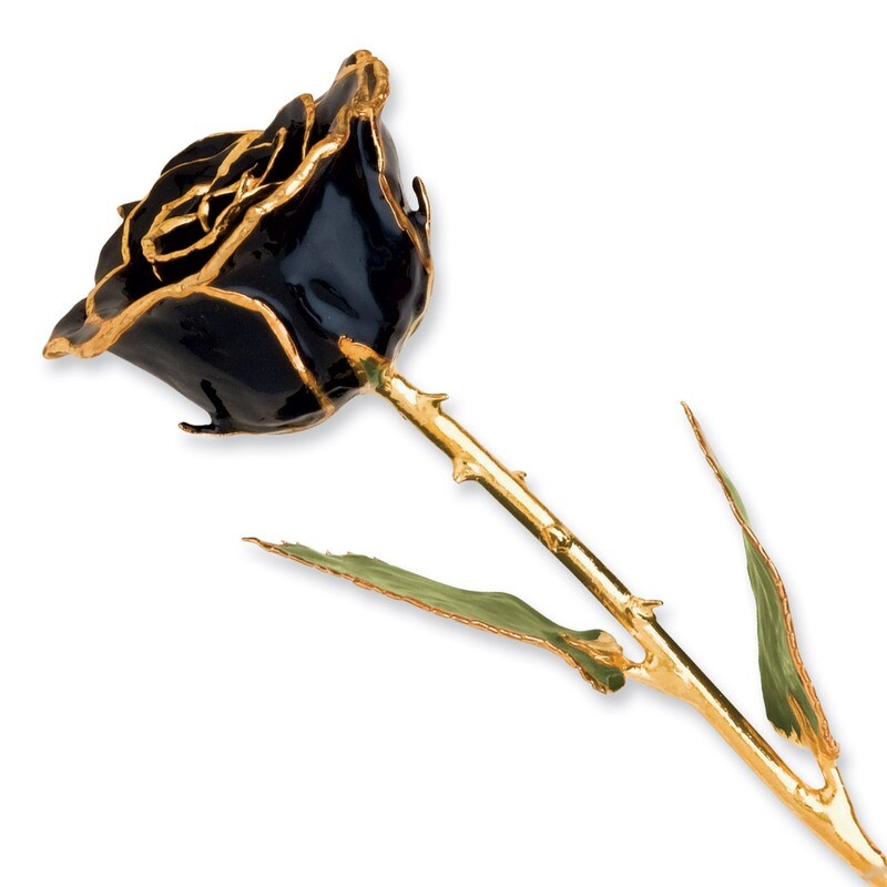 Black Rose Lacquer Dipped Gold Trimmed GP9346