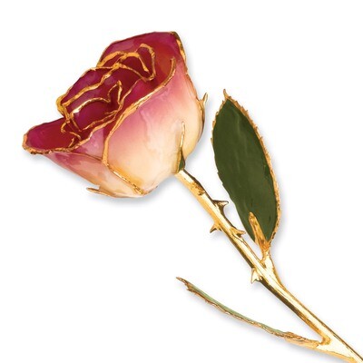 Amethyst Rose Lacquer Dipped Gold Trimmed GP9348, MPN: GP9348, 810391013042