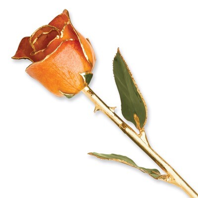 Orange Rose Lacquer Dipped Gold Trimmed GP9347, MPN: GP9347, 810391012977