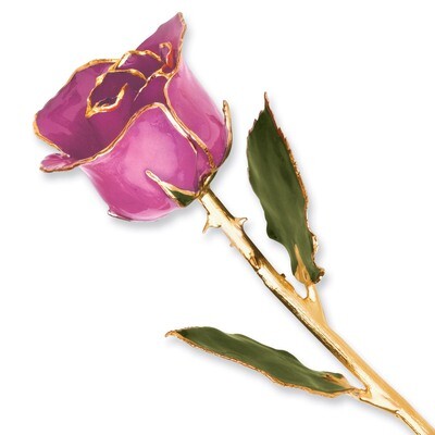 Lilac Pink Rose Lacquer Dipped Gold Trimmed GP9344, MPN: GP9344, 810391012946