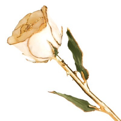 White Rose Lacquer Dipped Gold Trimmed GP9340, MPN: GP9340, 810391012922