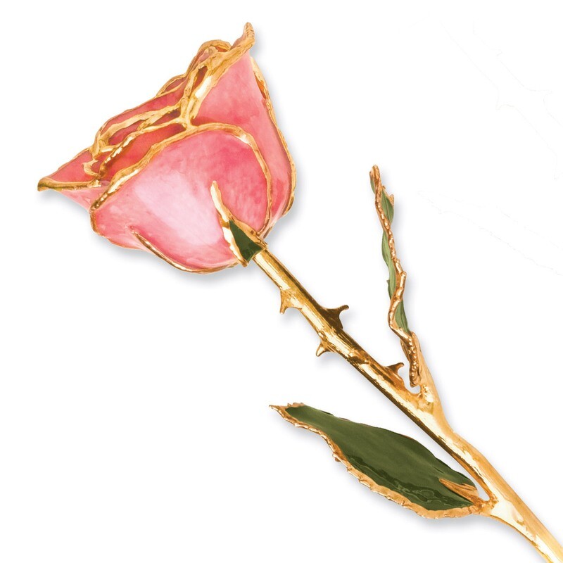 Pink Rose Lacquer Dipped Gold Trimmed GP9339