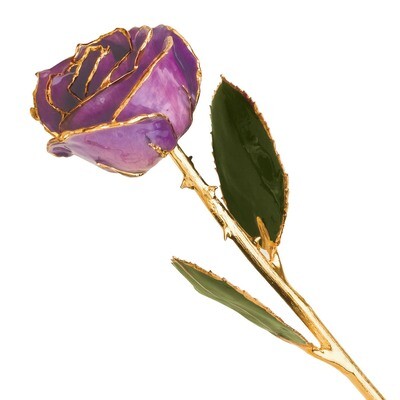 Lilac Rose Lacquer Dipped Gold Trimmed GP9338, MPN: GP9338, 810391012908