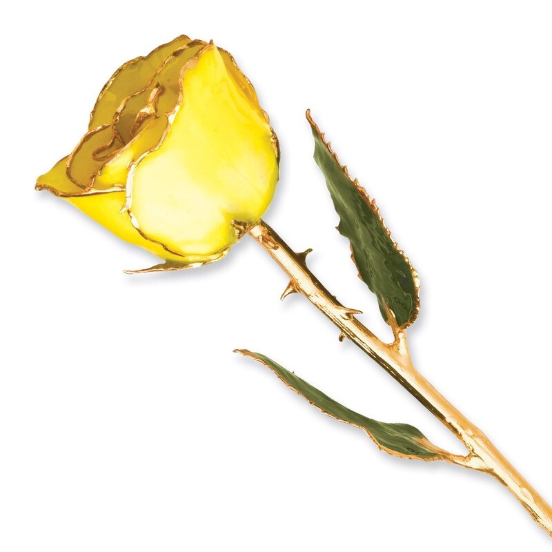 Yellow Rose Lacquer Dipped Gold Trimmed GP9336