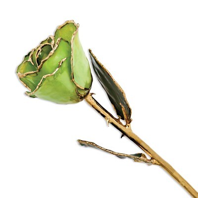 Peridot Topaz Rose Laquer Dipped Gold Trimmed GM8321, MPN: GM8321, 810391018252