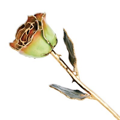 Peridot Orange Rose Lacquer Dipped Gold Trimmed GM8320, MPN: GM8320, 810391018245