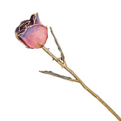 Pink Navy Rose Lacquer Dipped Gold Trimmed GM8319, MPN: GM8319, 810391017347