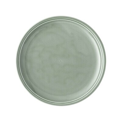 Thomas Trend Moss Green Dinner Plate 11400-401922-10229, MPN: 11400-401922-10229, 790955170735