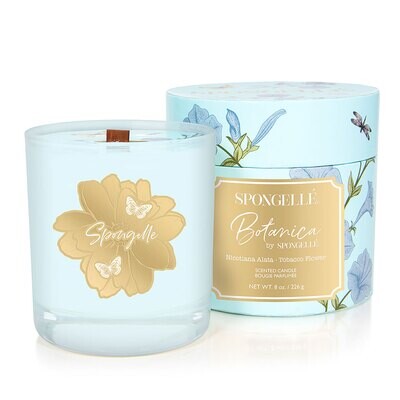 Spongelle Botanica Hand Poured Candle Tobacco Flower 8Oz Pack of 6 AST-BTCDTF
