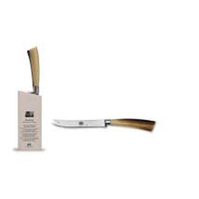Berti Insieme Citrus Knife Cornotech Handle 92719