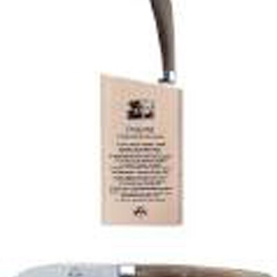Berti Insieme Curved Paring Knife Ox Horn Handle 9216