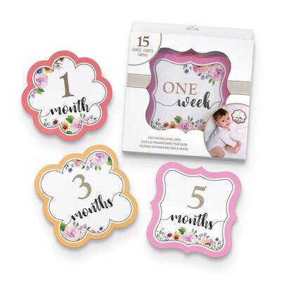 Lillian Rose 1 to 15 Months Pink Watercolor Milestone Card Set GM21878, MPN: GM21878, 710309448334