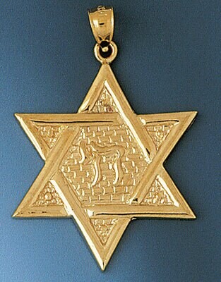 Dazzlers Jewelry Star of David with Chai Pendant Necklace Charm Bracelet in Yellow, White or Rose G…