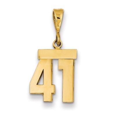 Number 41 Charm 14k Gold Small Polished SP41, MPN: SP41, 883957141152