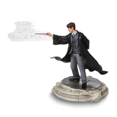Wizarding World of Harry Potter Tom Riddle Figure GM24623, MPN: GM24623, 28399295555
