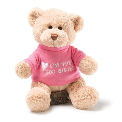 Gund I&#39;m The Big Sister Plush Bear GM9754, MPN: GM9754, 283990116672