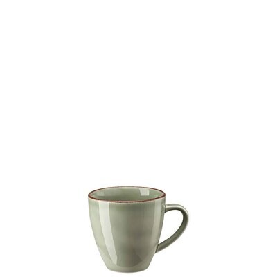 Rosenthal Profi Casual Moss Mug with Handle 10660-405405-34901, MPN: 10660-405405-34901, 7909551881…