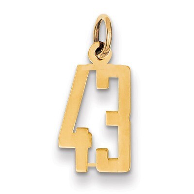Number 43 Charm 14k Gold Small Polished Elongated LES43, MPN: LES43, 883957218984