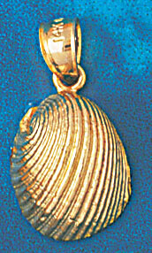 Dazzlers Jewelry Seashell Shell Pendant Necklace Charm Bracelet in Yellow, White or Rose Gold 252, …