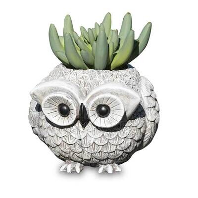 Mini Owl Pudgy Planter GM25568, MPN: GM25568, 89945739930