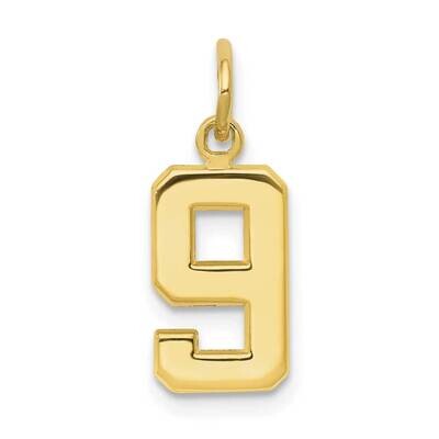 Polished Number 9 Charm 10k Gold Casted Small 10SP09, MPN: 10SP09,