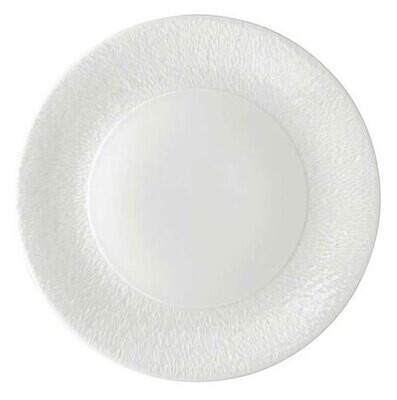 Raynaud Mineral American Dinner Plate, MPN: 0000-21-113029, 3660006661154