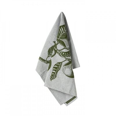 Casafina Kitchen Towels Fruits Forest Set of 3 Kitchen Towels Cotton CFT0059-FRGL, MPN: CFT0059-FRG…
